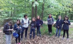 Classe Decouverte   076